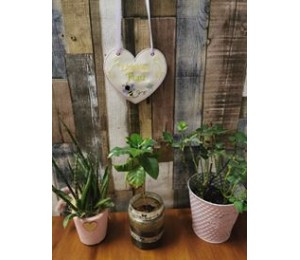 Stickserie ITH - Balkon Schilder inkl. Wimpel "Balkon"